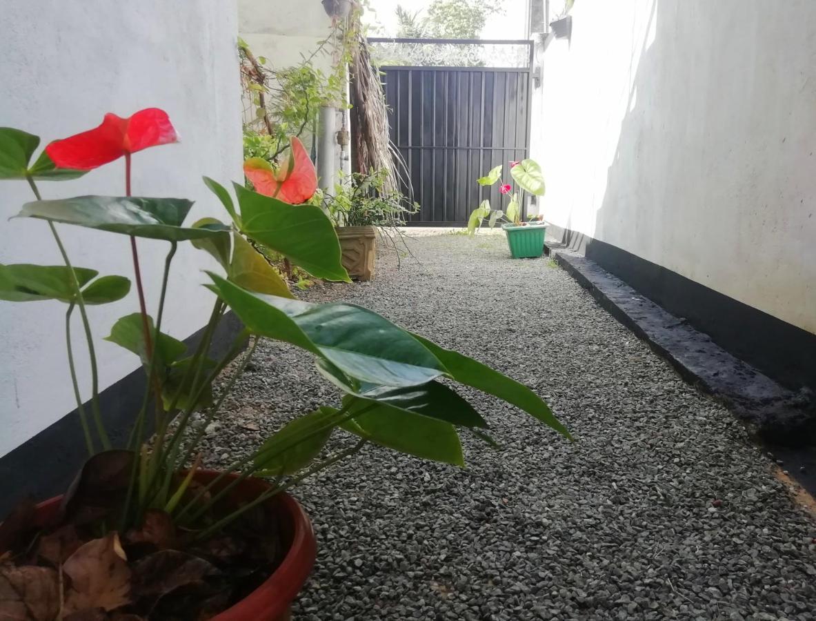 New Coral Garden Weligama Otel Dış mekan fotoğraf