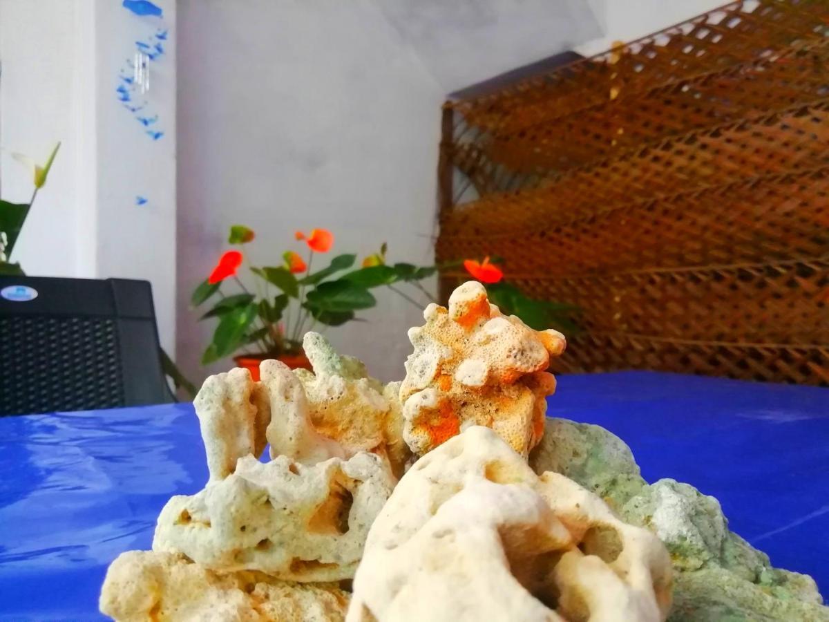 New Coral Garden Weligama Otel Dış mekan fotoğraf
